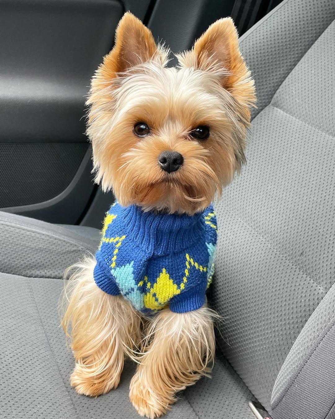 auto draft auto draft